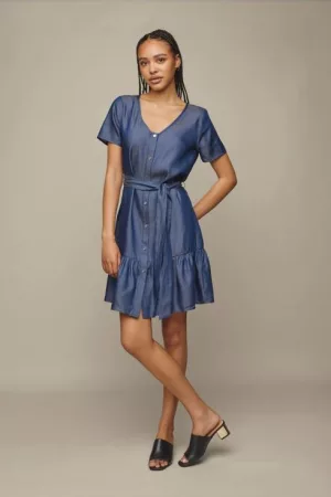 Chambray Dress