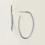 Modern Curve Hoop Earrings