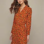Animal Print Dress
